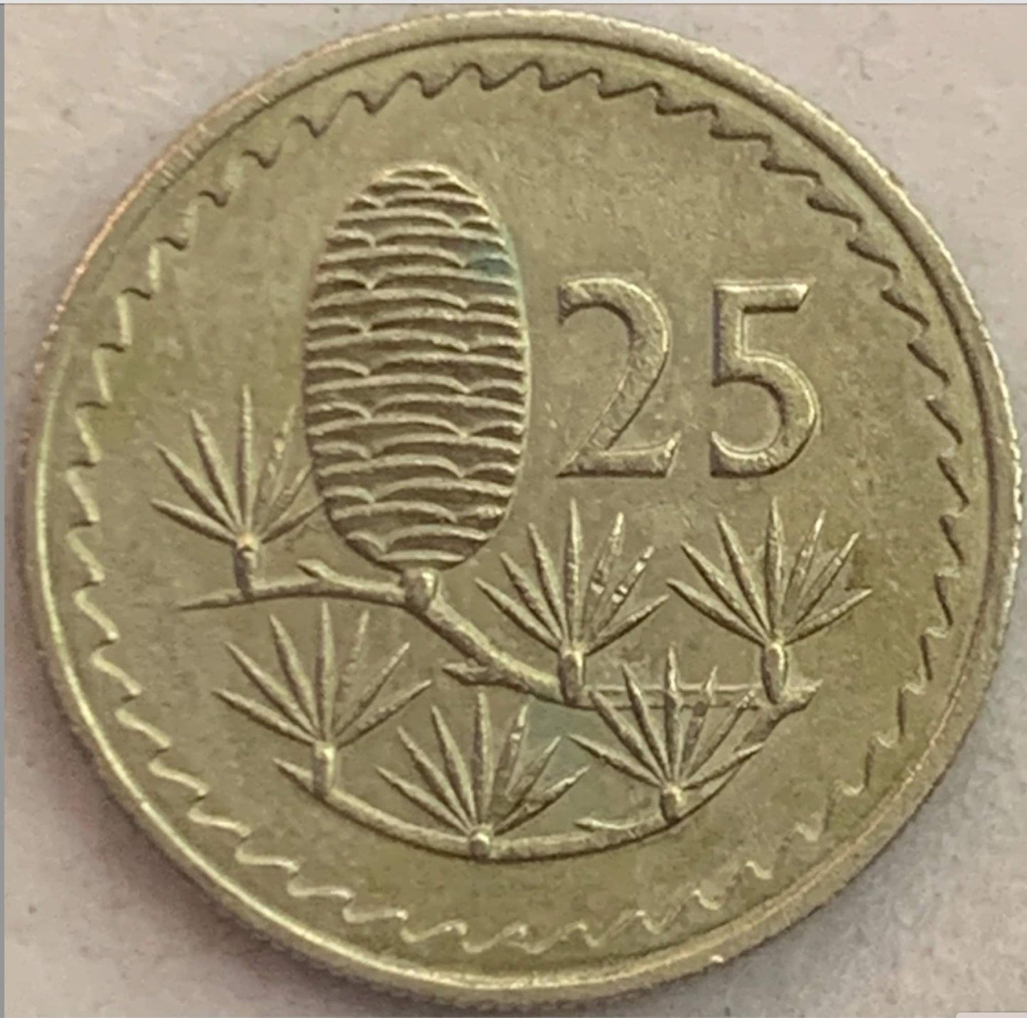 Collectible Treasure: Vintage Cyprus 25 Mils Coin, Limited Edition from 1955"