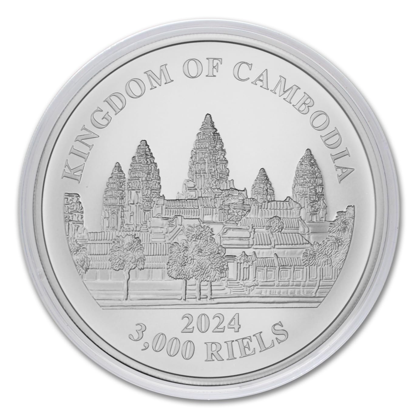 Exclusive 2024 Silver Lost Tigers of Cambodia Coin - Collectible Treasure with COA!”