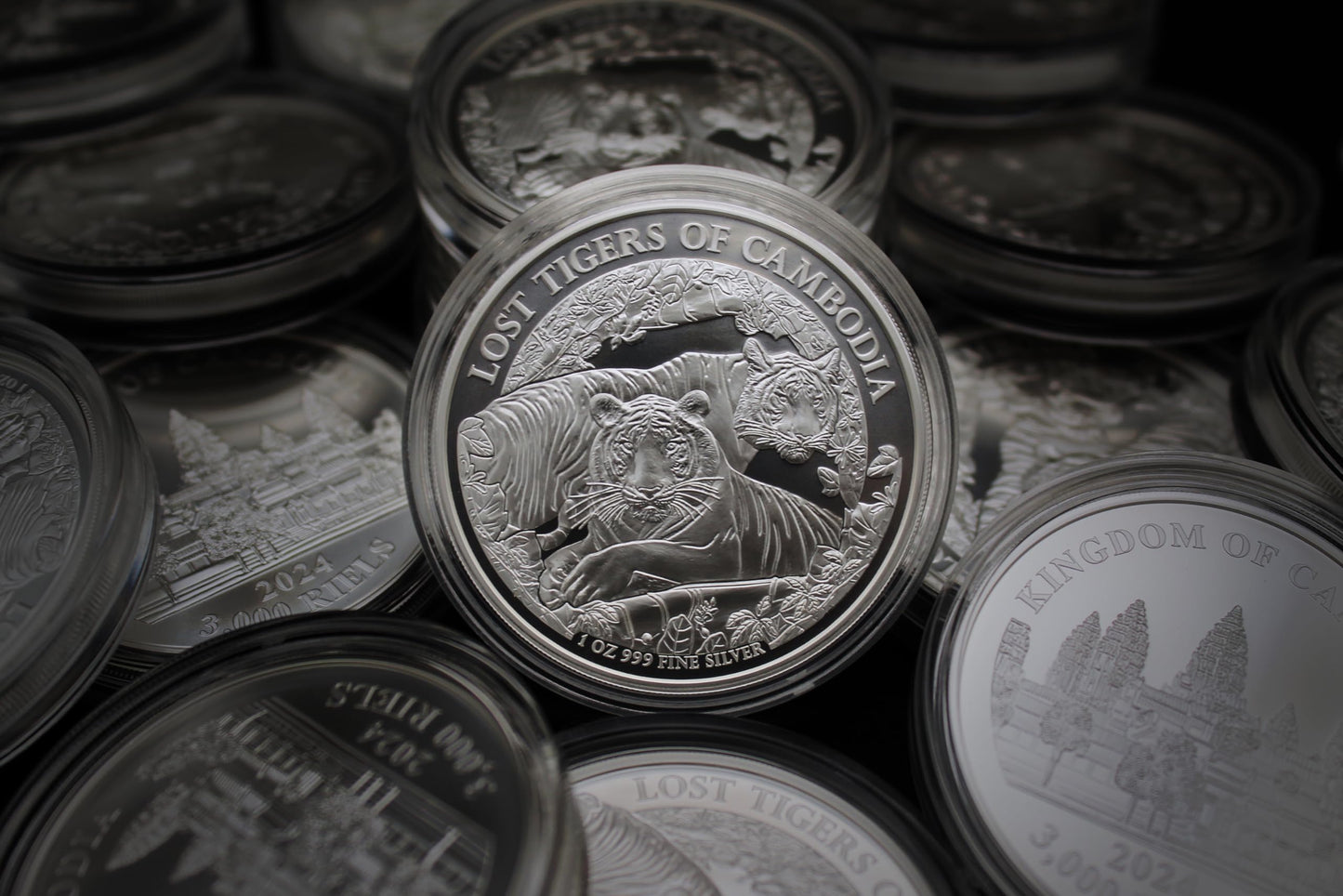 Exclusive 2024 Silver Lost Tigers of Cambodia Coin - Collectible Treasure with COA!”
