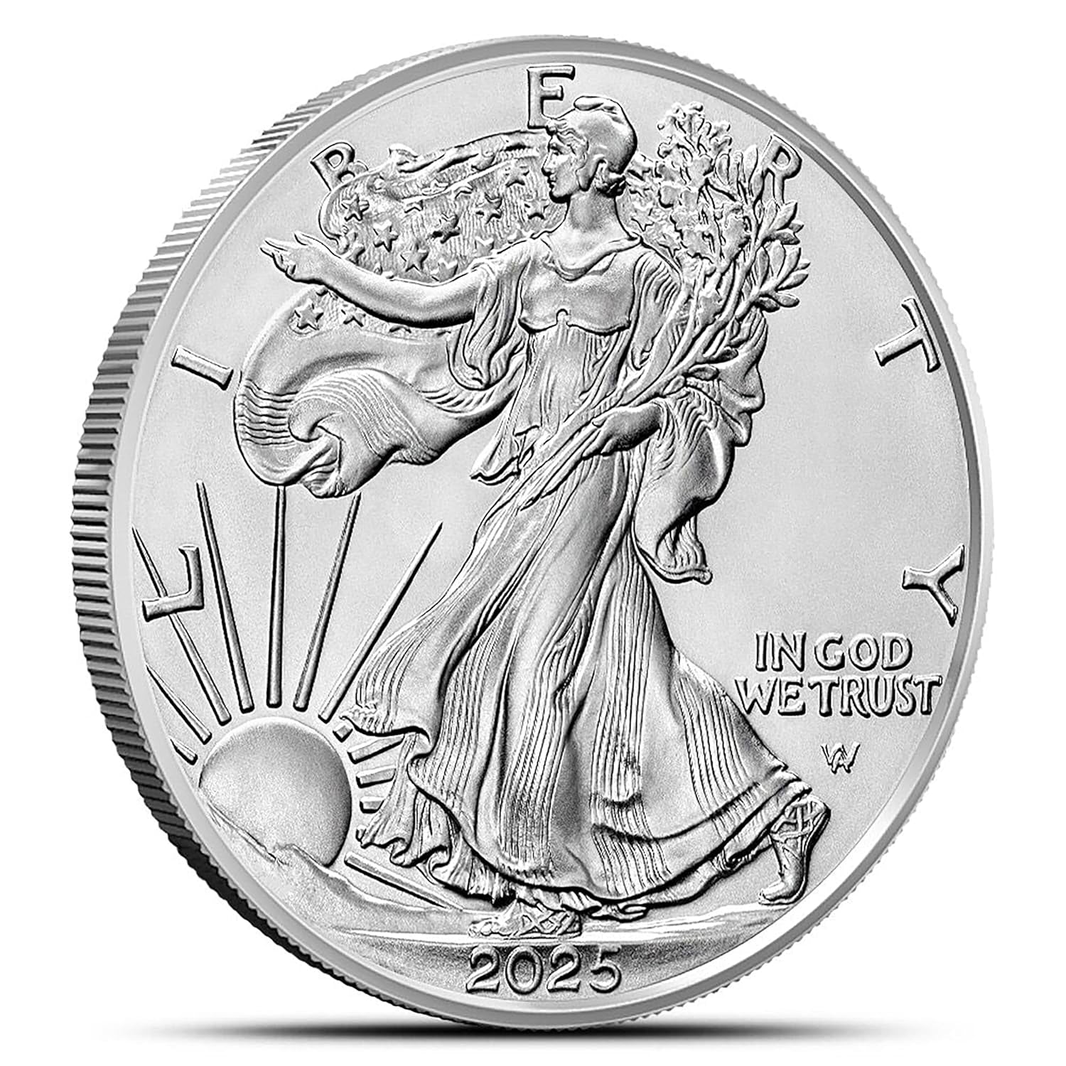 2025 American Silver Eagle .999 Fine Silver in Direct Fit Air Tite with Our Smyrnacoin Certificate of Authenticity Dollar Uncirculated US Mint