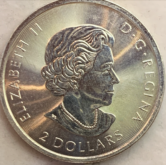 2019 1/2 oz Canadian Polar Bear Silver Coin - .9999 Pure Silver