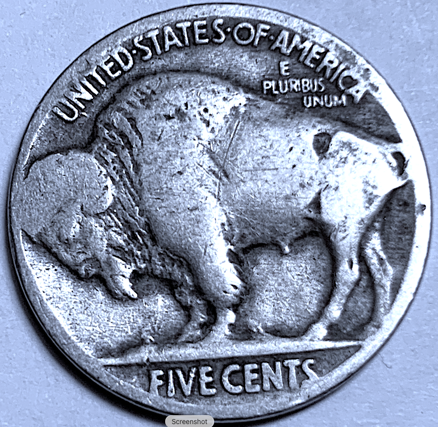 1926 Buffalo Nickel – United States – KM#134 – 5c Coin, Philadelphia Mint