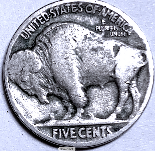 1926 Buffalo Nickel – United States – KM#134 – 5c Coin, Philadelphia Mint