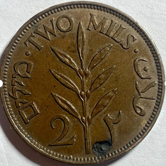 Highly Coveted Palestine 2 Mils Coin: Own a Rare Piece of History ( See Variants )